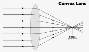 The Photons Of Light Then Travels In All Directions - Simple Convex Lens Ray Diagram
