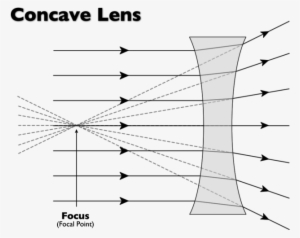 The Photons Of Light Then Travels In All Directions - Light Passing Through Concave Lens