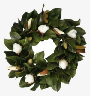 Magnolia-wreath - Jane Seymour Botanicals Magnolia Bud Wreath; White