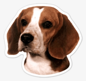 Car & Motorbike Stickers - Beagle Dog Portrait Counted Cross Stitch Pattern