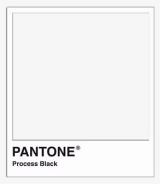 Paper Product