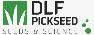Dlf Pickseed Pantone - Graphics