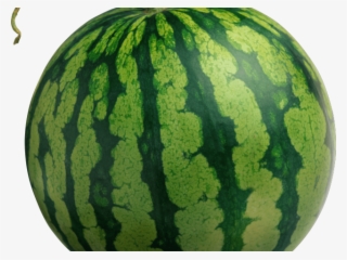 Fantano Melon
