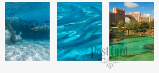Ladyj Cruise Destination Nassau Collage - Atlantis Paradise Island