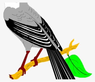 Mockingbird Clipart Quail - Mocking Birds Clip Art