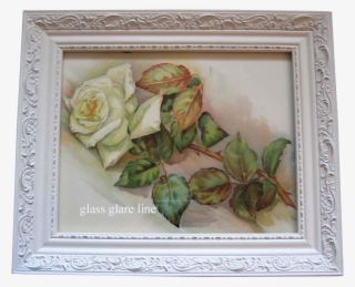 Antique White Roses Print Buy Now At - Picture Frame