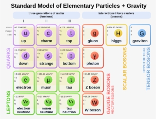 Standard Model Of Elementary Particles Gravity