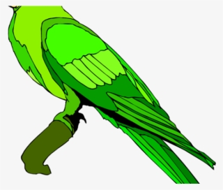 Parrot Clipart Green Parrot - Parrot