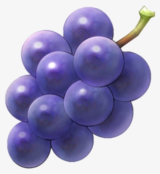 Grapes Png
