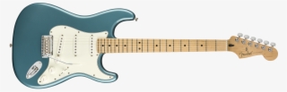Fender Player Stratocaster Electric Guitar - Fender Stratocaster Player Series