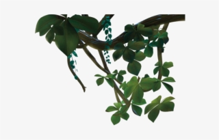 Jungle Vines Transparent - Houseplant