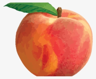 Peach Png Transparent Images - Palisade Peach