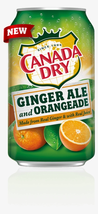 Canada Dry Ginger Ale And Orangeade - Canada Dry
