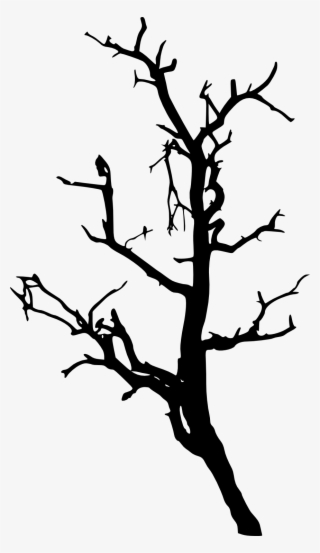 17 Dead Tree Silhouette - Silhouette