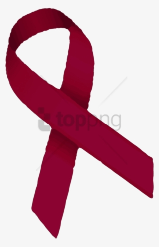 Free Png Avm Ribbon Png Image With Transparent Background - Avm Brain Ribbon