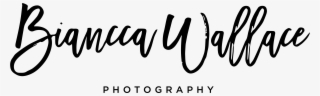 Welcome - Honey And Birch Logo