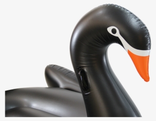 taiwan inflatable pool toy, taiwan inflatable pool - black swan