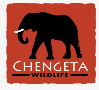 Chengeta Wildlife Logo - Indian Elephant