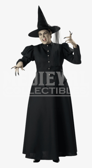 Womens Wicked Witch Costume - Witch Costume For Men