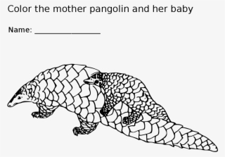 Pangolin Mother And Baby Coloring Page - Line Art