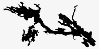 Ahmic Beaver And Crawford