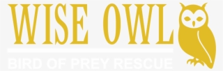 Wise Owl Bird Of Prey Rescue
