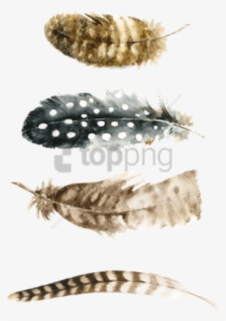 Free Png Watercolor Feather Free Png Image With Transparent - Feather Free Printable