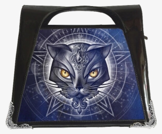 Tabby Cat