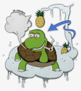 Turtle Drawing Stoner - Cartoon