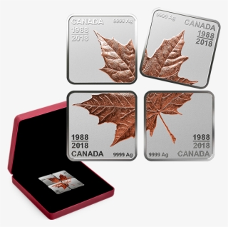 Pure Silver Rose Gold-plated Maple Leaf Quartet - Silver