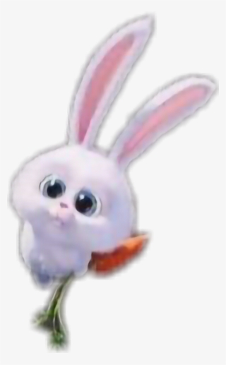 #conejito 😘💖😀#rabbit #lindo #zanahoria 😝😄 - Domestic Rabbit