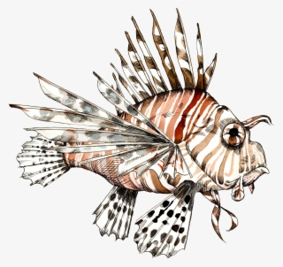 Feuerfisch Illustration - Lionfish