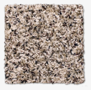 Buy Cape Hatteras By Phenix Shag Texture - Carpet