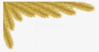 Free Png Christmas Gold Pine Corner Png Images Transparent - Clip Art Corners Free Christmas