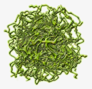 Vineslimecreature Dbl-a - Chain
