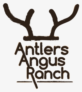 partner ranches - illustration