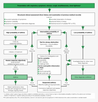 Algorithm For The Diagnosis Of Asthma In Children - Bts Sign Asthma Guidelines 2017