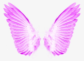 Load 40 More Imagesgrid View - Transparent Background Angel Wings Png