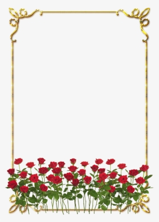 Frames Png Douradas Com Rosa Vermelhas - Rose Border Flower Design