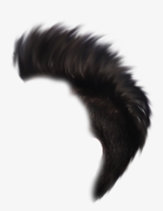 Heartless Hair Png Heartless Editing Png - Millipedes