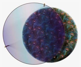 1 - Circle