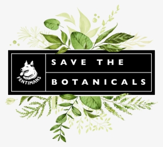 Fentimans Save The Botanicals - Wedding Invitations
