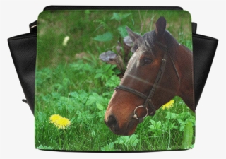 Beautiful Horse Face, Green Grass And Yellow Dandelions - Sorrel