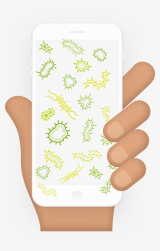 Throughout The Day, All The Bacteria You Touch On Grocery - Cell Phone Bacteria