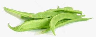 Free Png Download Green Beans Png Images Background - Flat Beans Png