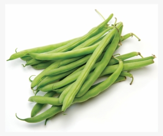 Green Beans White Background