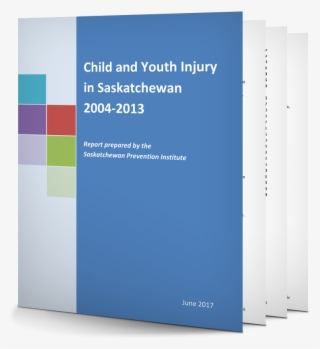 Child And Youth Injury In Saskatchewan 2004-2013 - Graphic Design