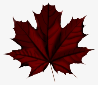 Faℓℓ ‿✿⁀○ Vintage Flowers, Autumn Leaves, Falling - Canada Day 150 Anniversary