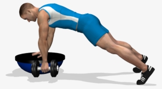 Single Arm Dumbbell Row On Bosu Involved Muscles During - Press Up