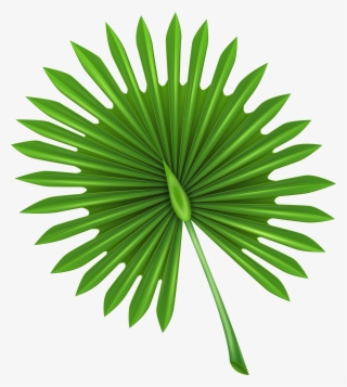 Exotic Leaf Clip Art Png Image - Mold Temperature Injection Molding